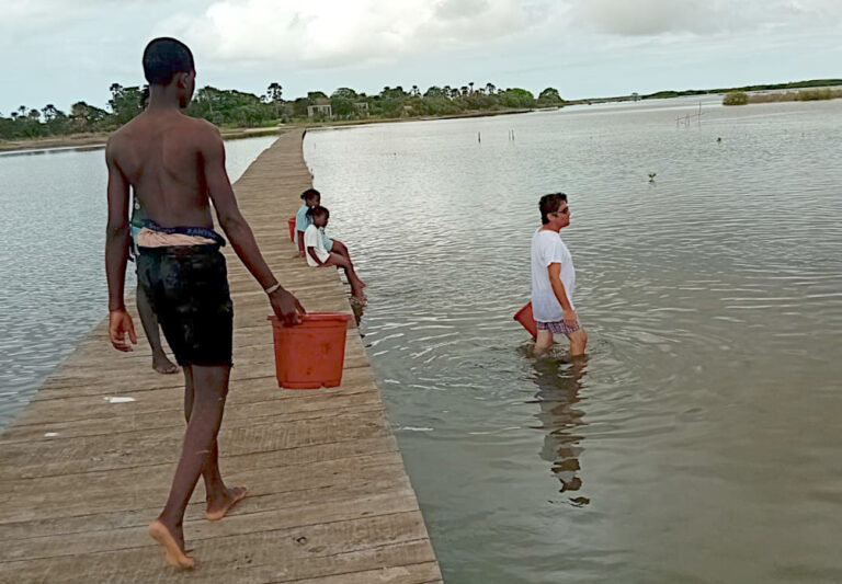 Plus forts ensemble pour planter des palétuvier : de la pirogue, du paddle, et du ponton...